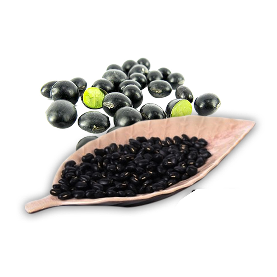 Black Bean (Green Flesh) Légumes