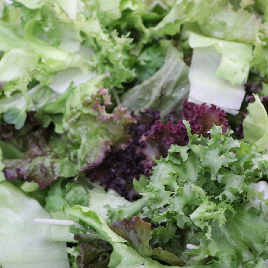 Asian Mix Salad
